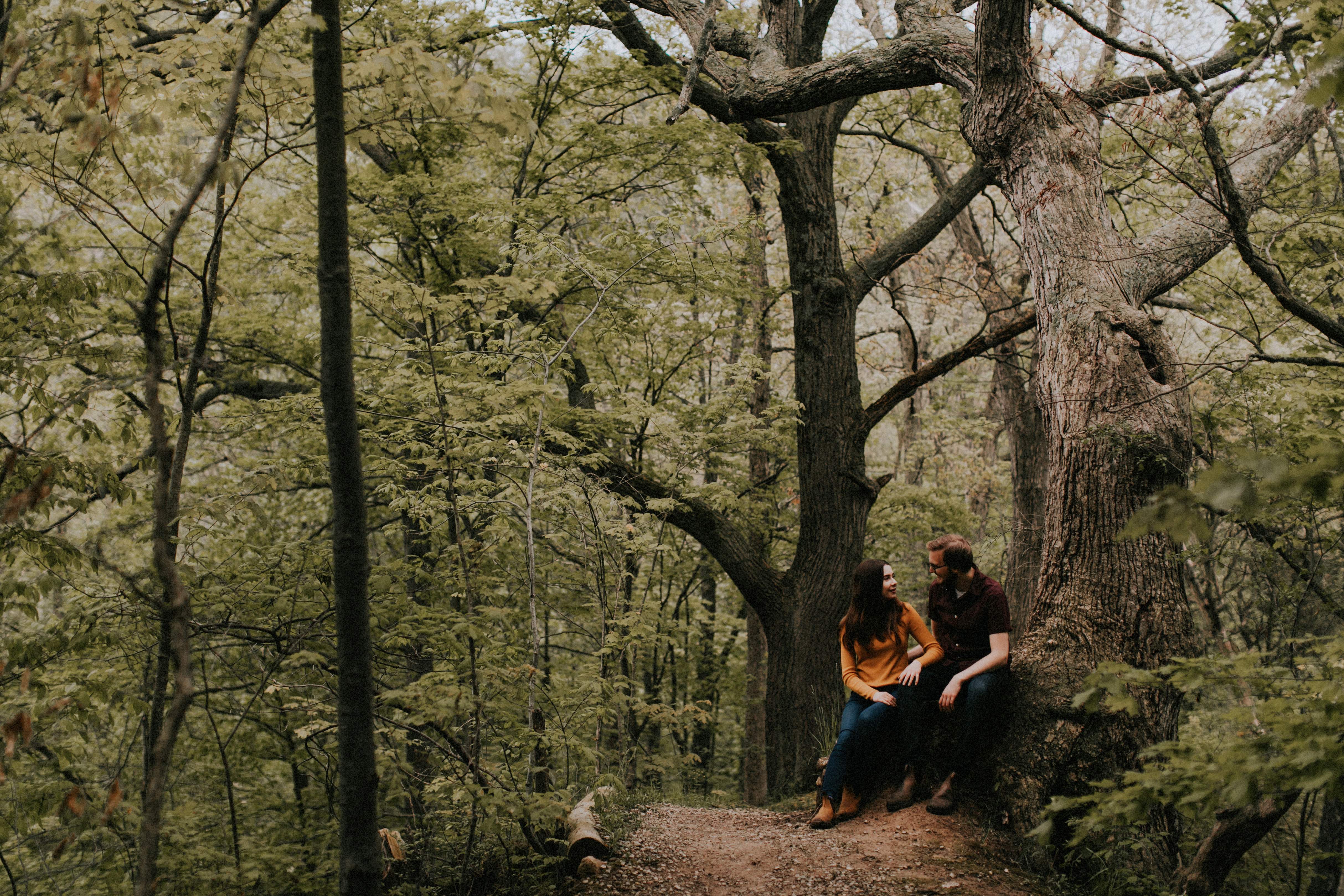 couple sitting on stump