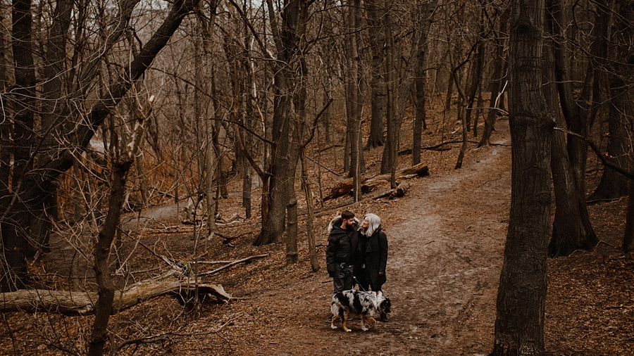 couple stand in dead forest high park
