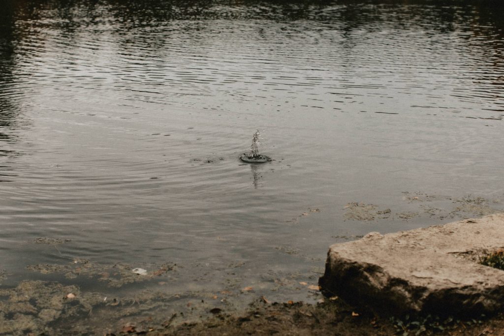 Rock splashes in pond creating ripples - Huron Natural Area Micro Wedding Kitchener, Ontario