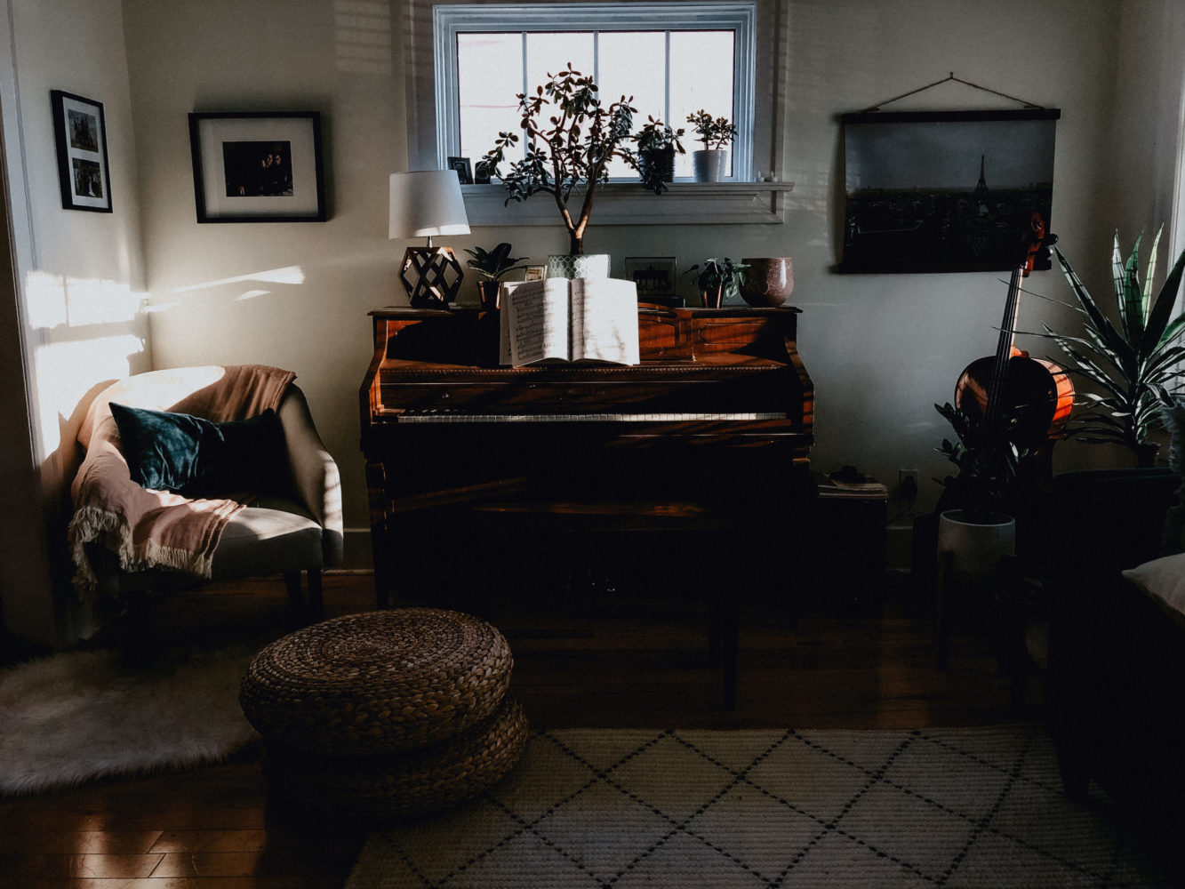 piano plants